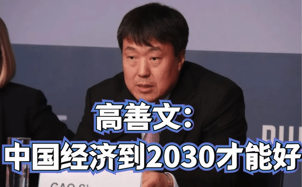 经济学家高善文